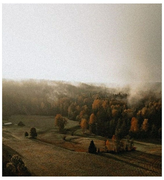 ♡ ɴᴏᴠᴇᴍʙᴇʀ 28 » „My pride, my ego, my needs, and my selfish ways.. caused a good strong woman like - Tomnatic și nostalgic
