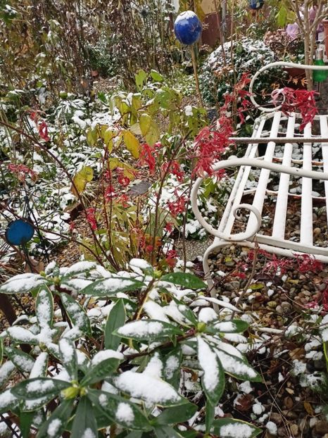  - Grădina 2023 continuare 5