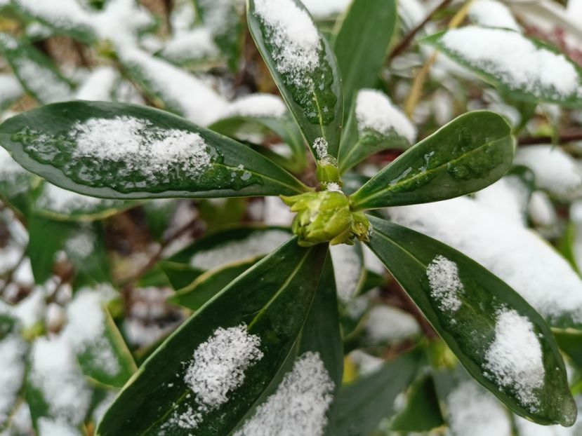  - Grădina 2023 continuare 5