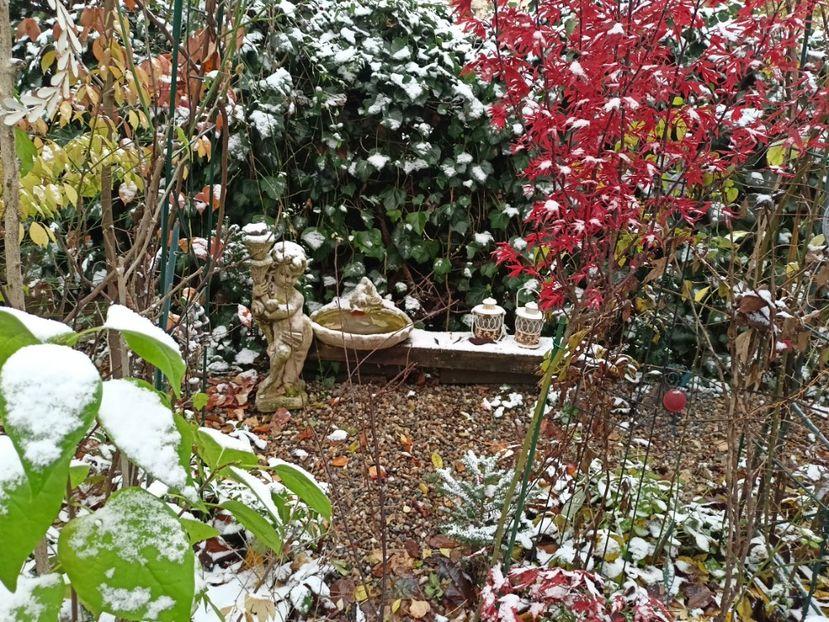 Shaina - Grădina 2023 continuare 5