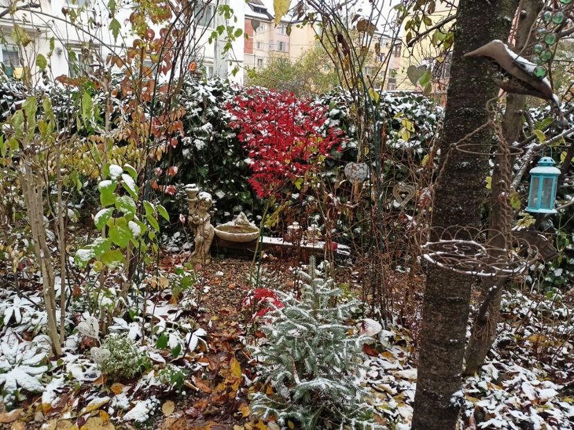  - Grădina 2023 continuare 5