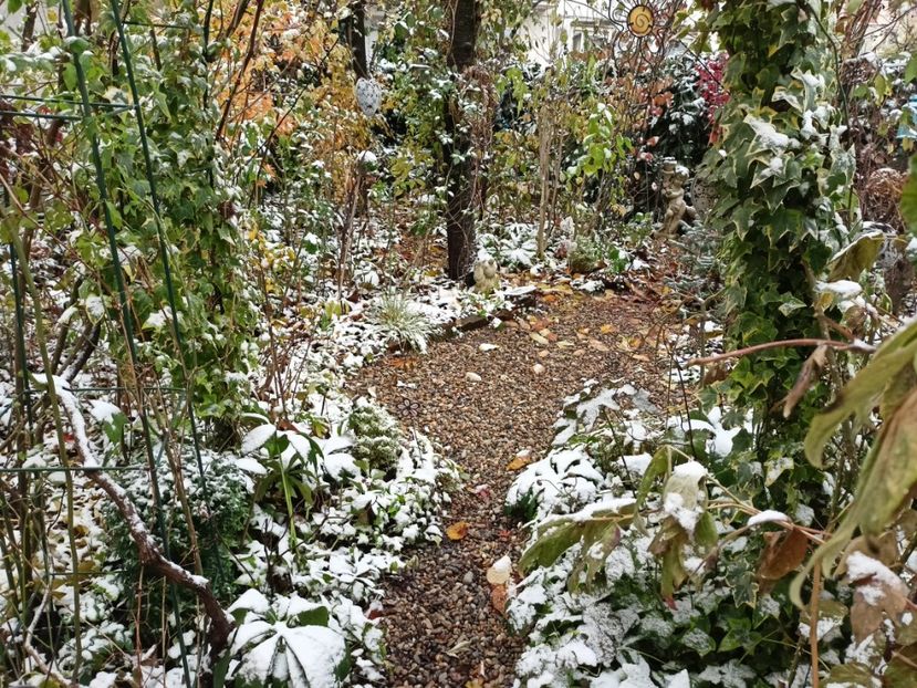  - Grădina 2023 continuare 5