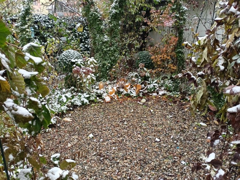  - Grădina 2023 continuare 5