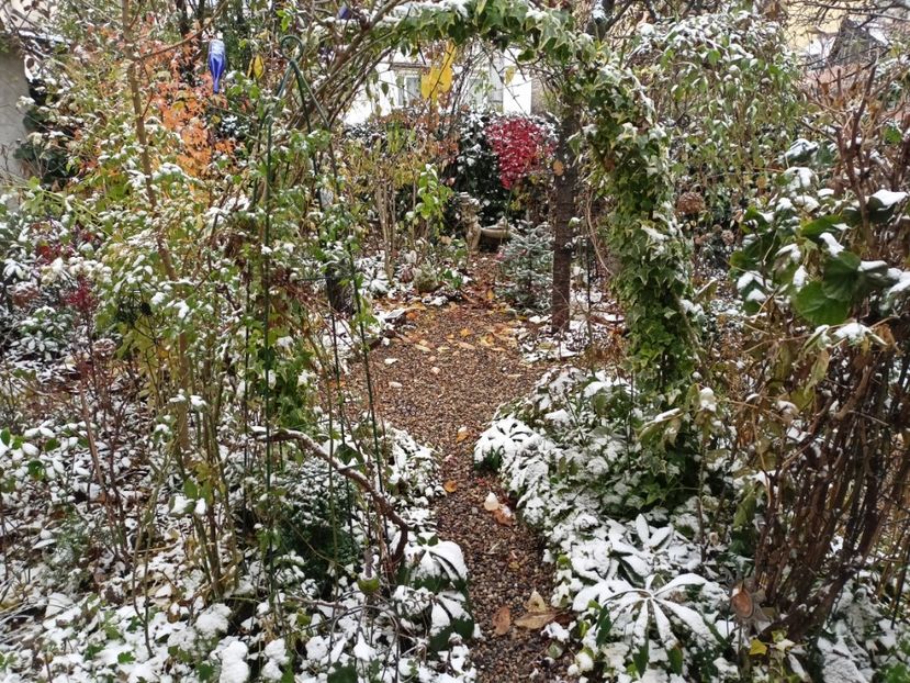  - Grădina 2023 continuare 5