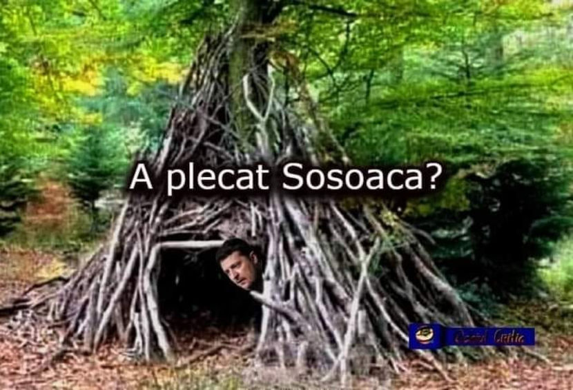  - Poze haioase pamflet