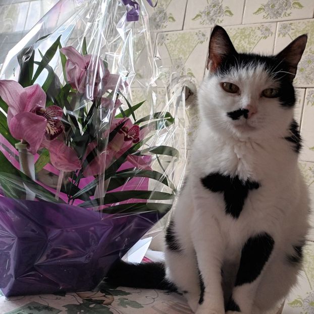 Pentru voi... - A mea frumoasă Natalia