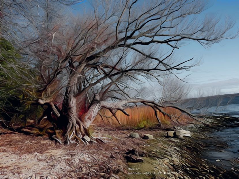 Lakeshore of Riviere Ottawa (Outaouais River) whwn meet Riviere ST.Laurence near Montreal - A - DECO ART - CANADA