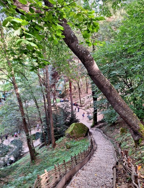  - Manastirea Sinca Veche