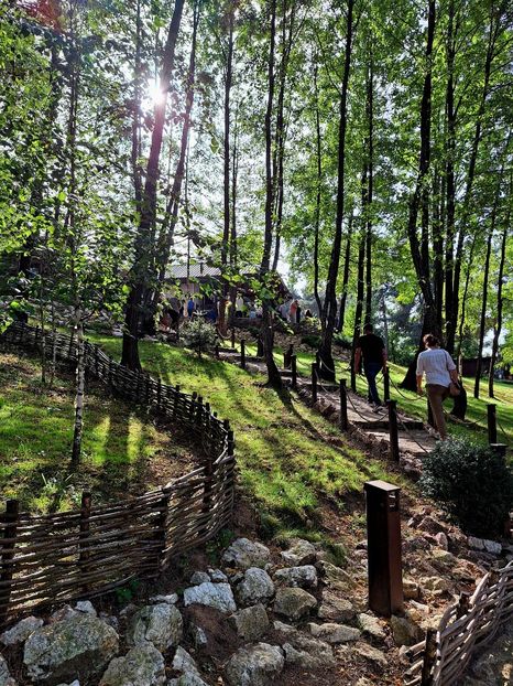  - Manastirea Sinca Veche