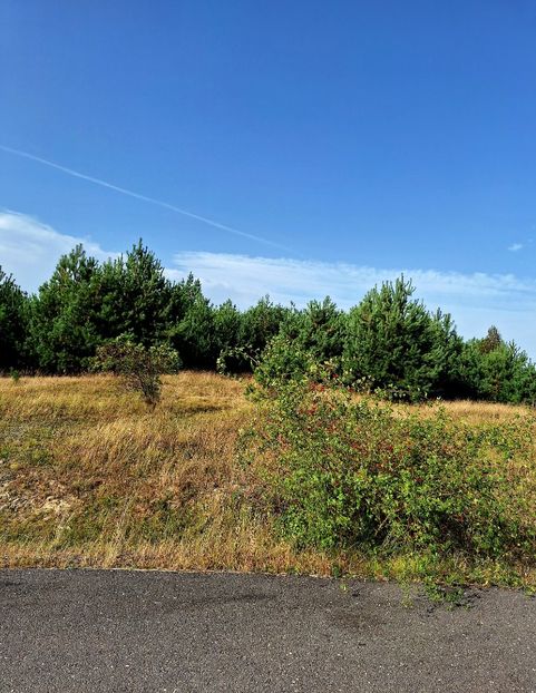  - Manastirea Sinca Veche