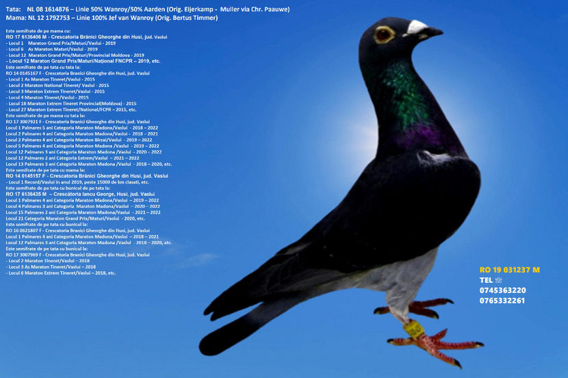 RO 19 031237 M Pret 400 Lei + transportul - PENTRU POSTAT SI REPOSTAT