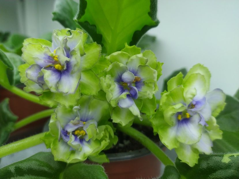 1 decembrie 2023 - LE Marfa