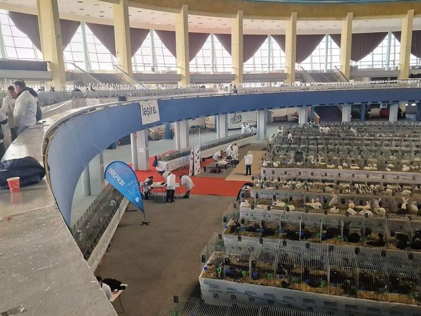  - EXPOZIȚIE RO NAȚIONALĂ 2023