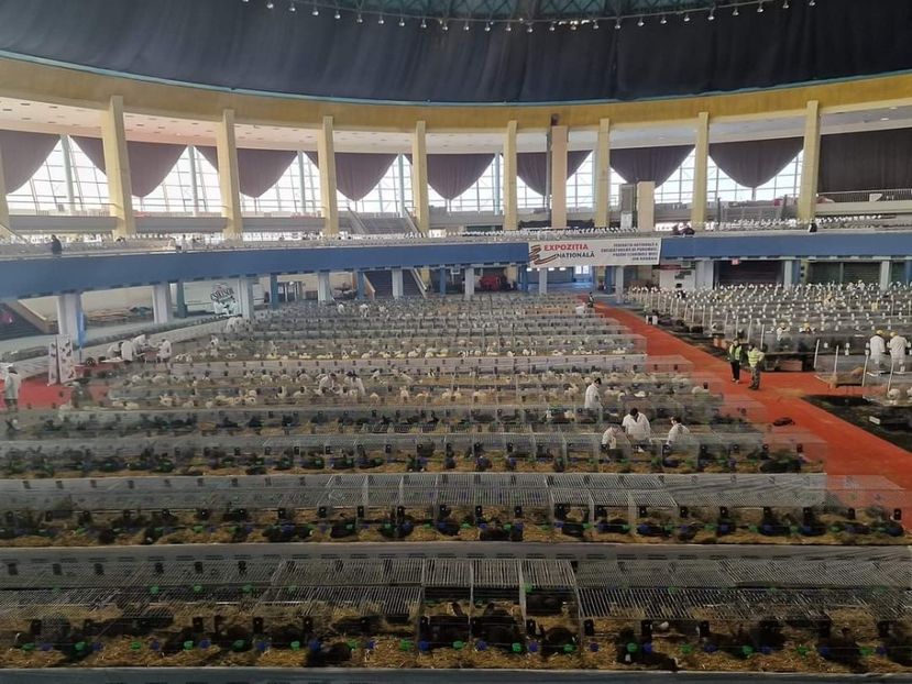  - EXPOZIȚIE RO NAȚIONALĂ 2023