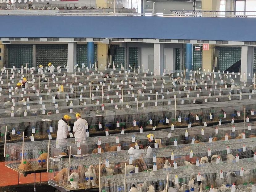  - EXPOZIȚIE RO NAȚIONALĂ 2023