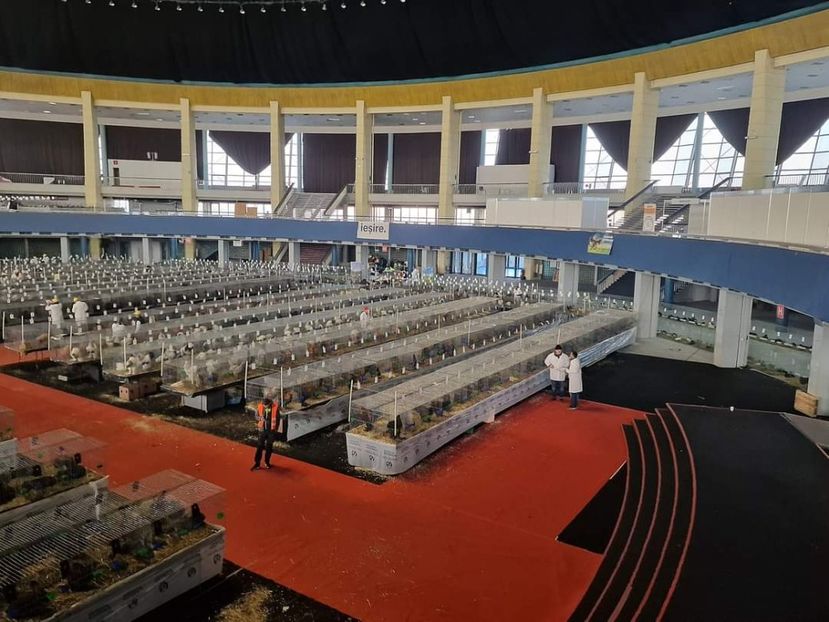  - EXPOZIȚIE RO NAȚIONALĂ 2023