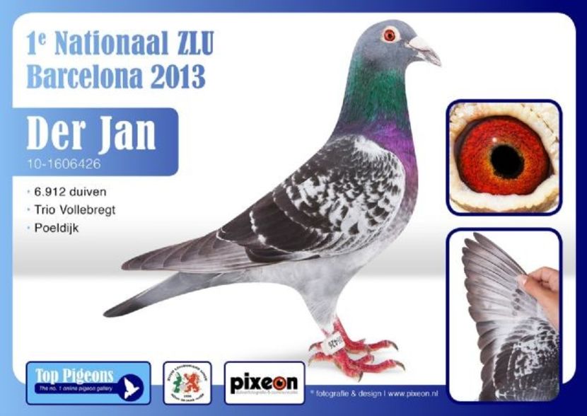 TopPigeon_ZLU-winnaar-BARCELONA-A4. - QUATTRO BARCA - Gebr Herbots 4 x 1 nat BARCELONA