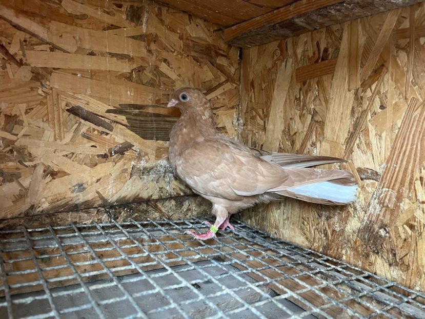 3076/23 - 6-lot zbor 2023