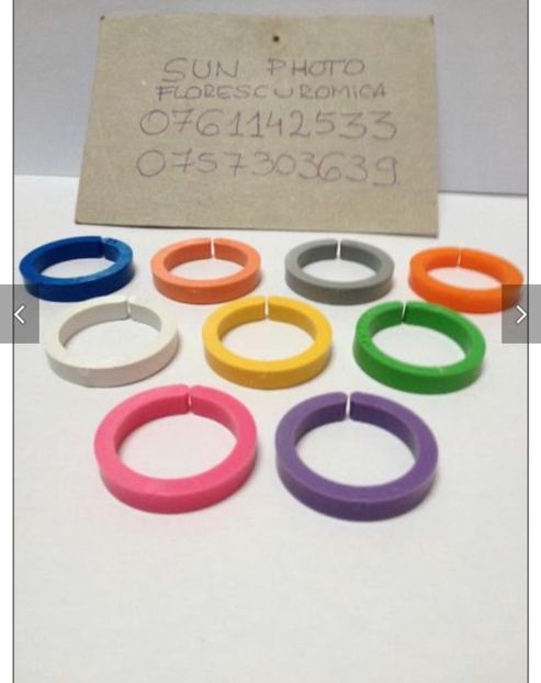 2a8aa557-7512-45ef-9015-ede75b669400 - 00 Inele Pasari Ornament Asociație AFRD 2024