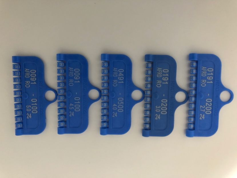  - 00 Inele Pasari Ornament Asociație AFRD 2024