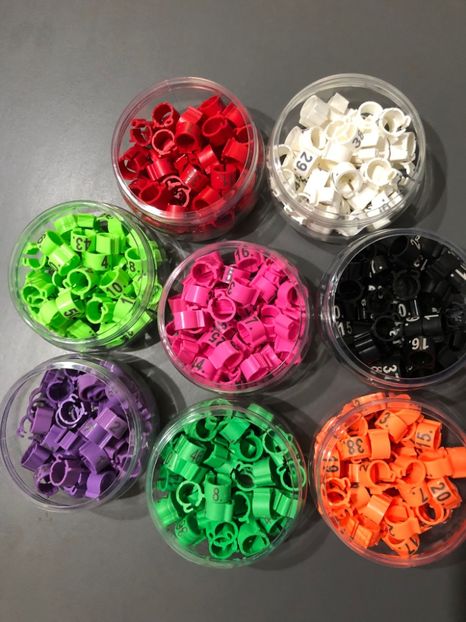 9e1c1544-7189-46c8-8df5-6f17407e3261 - 0 Noutăți 2024