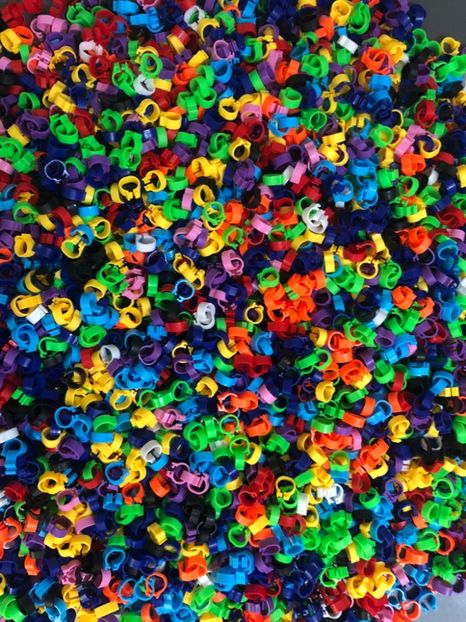 22a69a60-853a-4dbe-b79a-2c07d2b415f1 - 0 Noutăți 2024