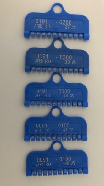 DD33E5D1-CFCD-4F32-857C-B803C1B671F3 - 0 Noutăți 2024