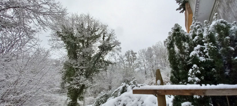  - 2023 - 04 - 2024 - 00 - Iarna