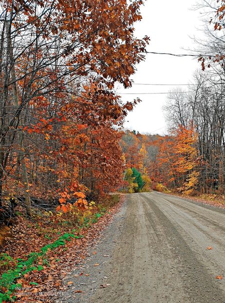 Amazing Canada (Quebec) - AUTUMN - Toamna canadiana