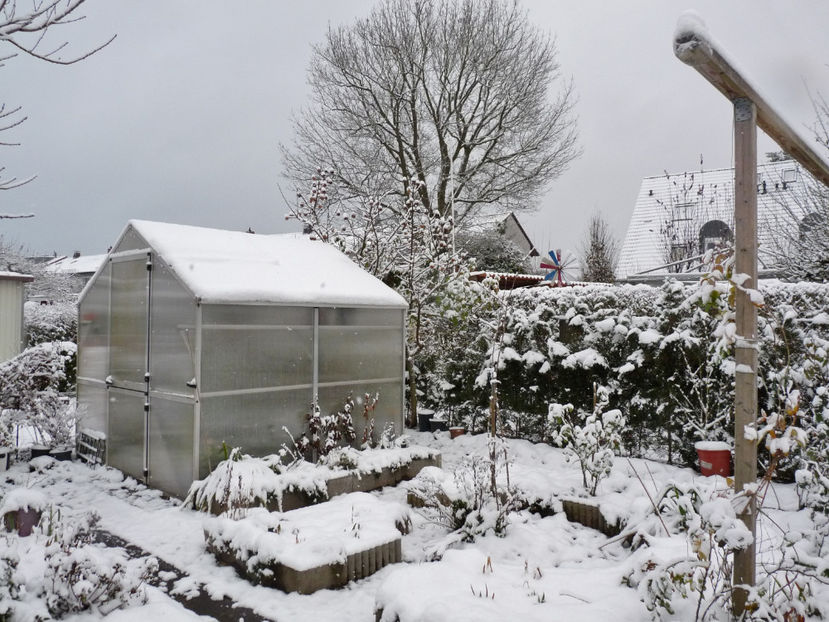  - 2023 - 04 - 2024 - 00 - Iarna