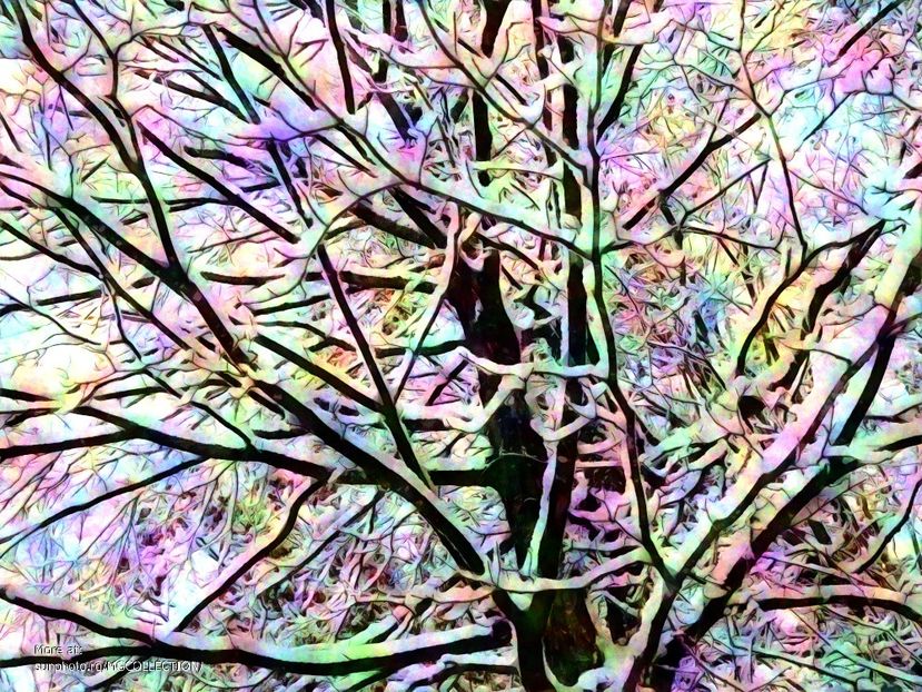 Winter Fantasy 3 - A - DECO ART - CANADA