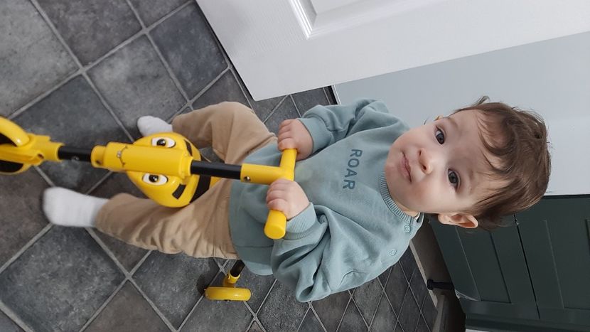  - cele mai frumoase florii ale mele