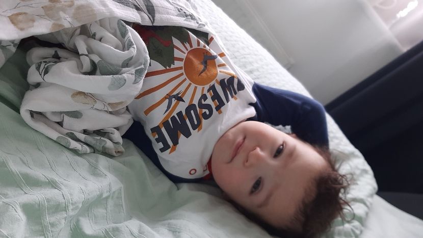  - cele mai frumoase florii ale mele