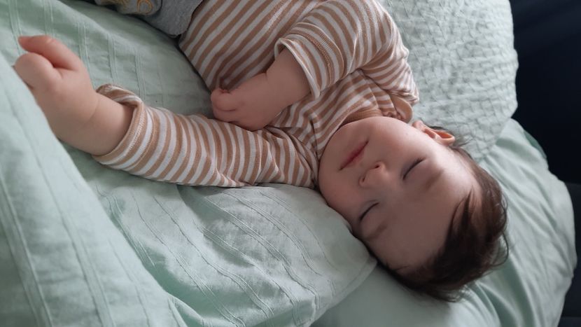  - cele mai frumoase florii ale mele