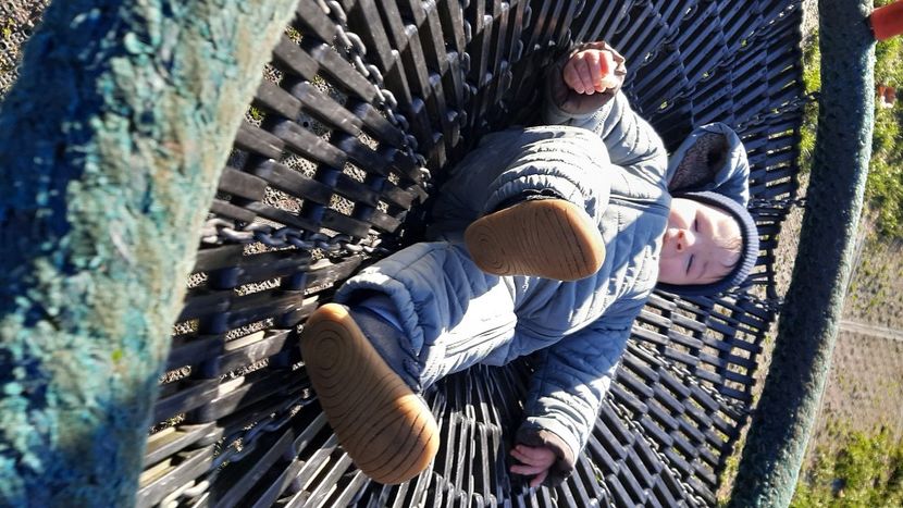  - cele mai frumoase florii ale mele