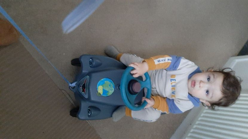  - cele mai frumoase florii ale mele