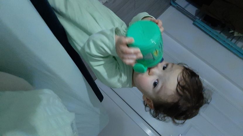  - cele mai frumoase florii ale mele