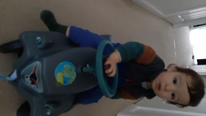  - cele mai frumoase florii ale mele