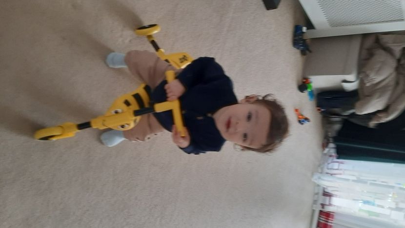  - cele mai frumoase florii ale mele