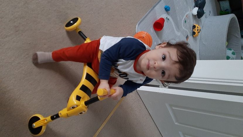  - cele mai frumoase florii ale mele