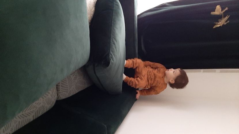  - cele mai frumoase florii ale mele