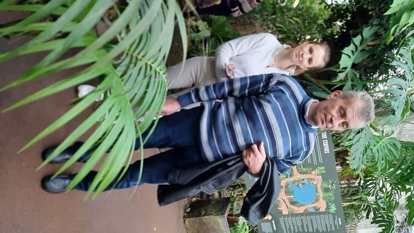  - cele mai frumoase florii ale mele