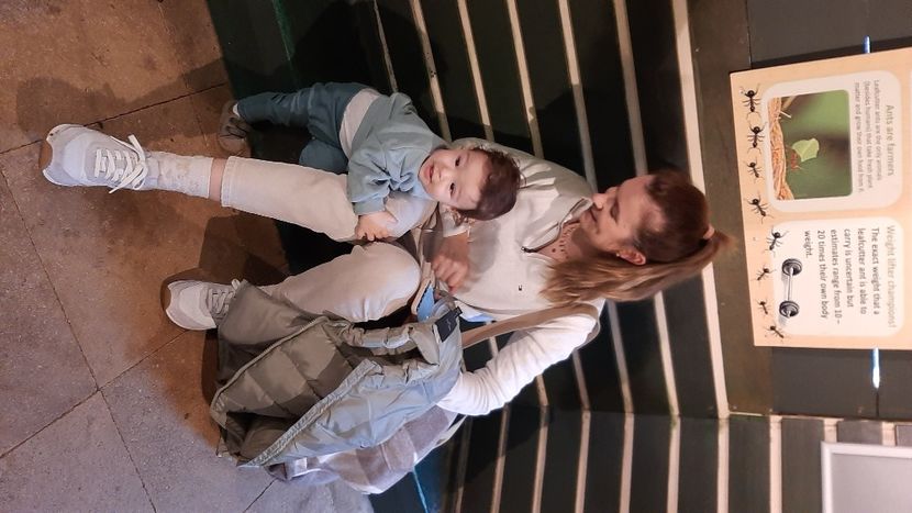  - cele mai frumoase florii ale mele