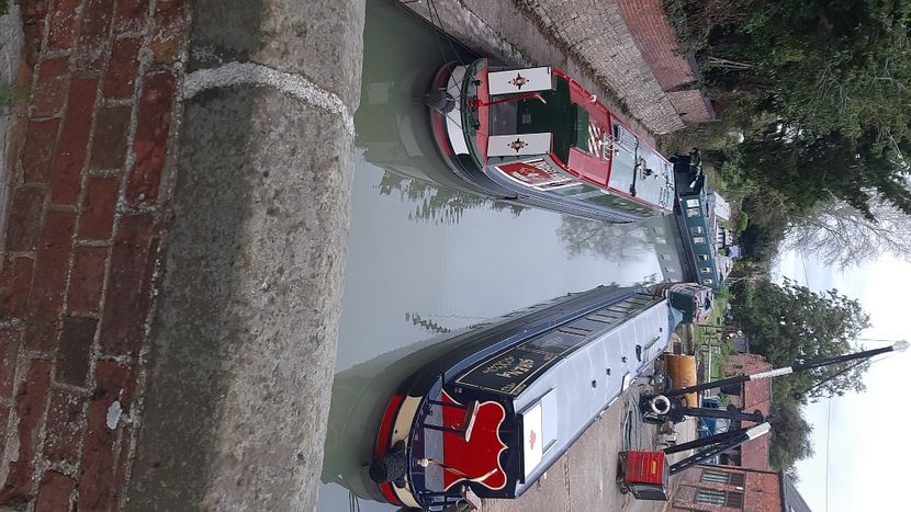  - cele mai frumoase florii ale mele