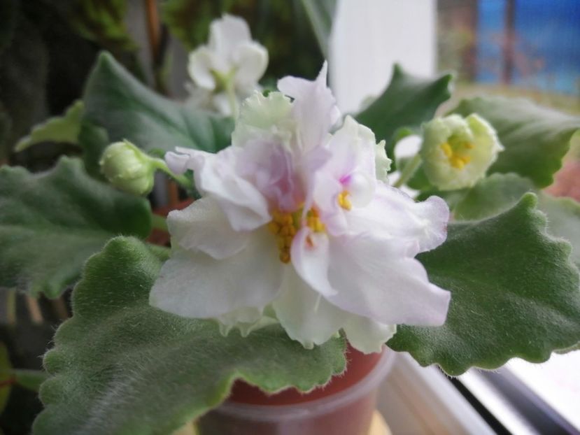  - Le Chateau Margaux