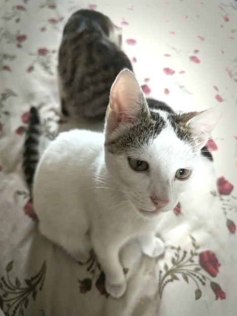  - - Q - Fotografii - Photos