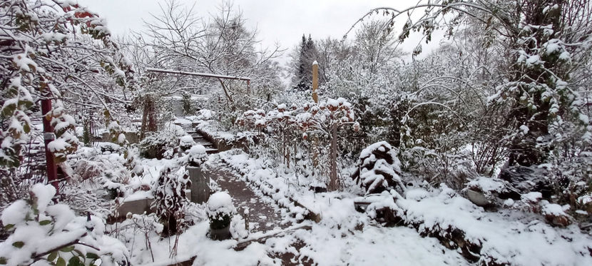  - 2023 - 04 - 2024 - 00 - Iarna