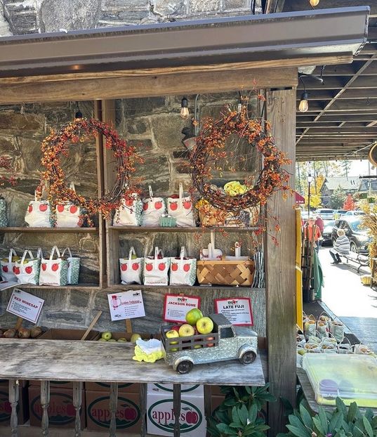 Dear September, - Collection of Tintypes