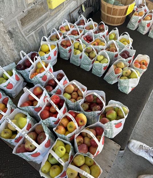 (the competition) - Collection of Tintypes