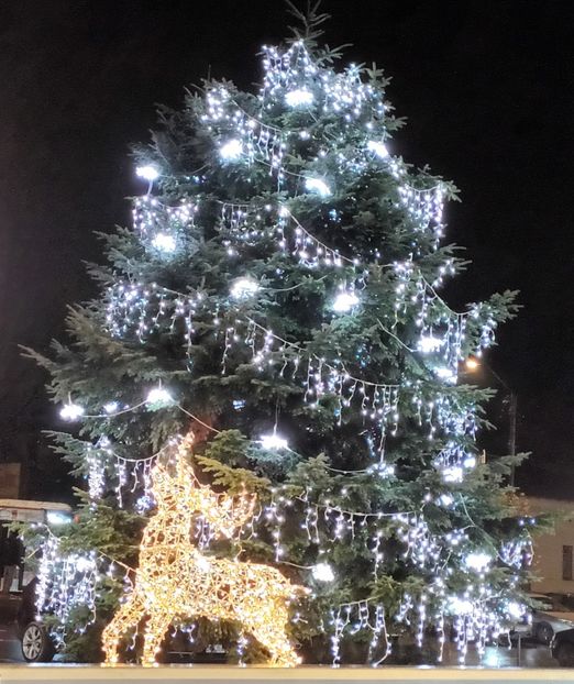  - Căutând bucuria la pas